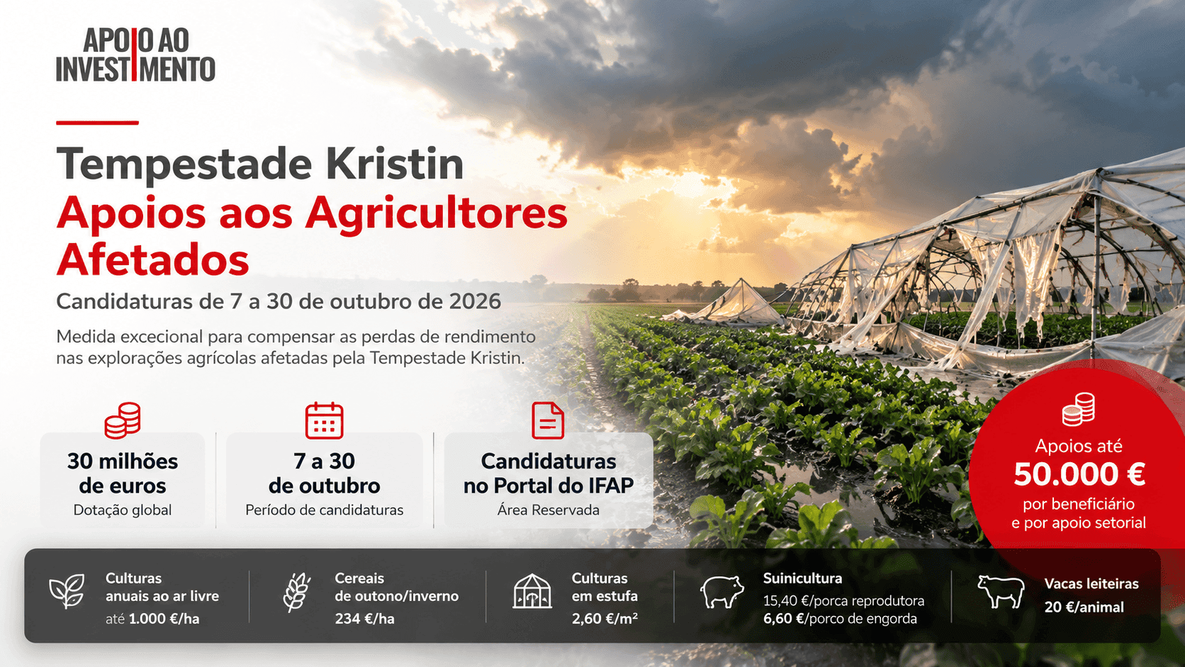 🌾 TEMPESTADE KRISTIN | APOIOS ATÉ 50.000 € PARA AGRICULTORES